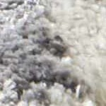 cream, charcoal, gray, tan, ivory, medium gray