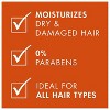 Nexxus Scalp Inergy Leave-in Treatment | Moisturizes Dry & Damaged Hair | 0% Parabens | Ideal For All Hair Types - (3.3 Oz) - 3 of 4