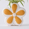 Live Houseplant with Florets Pot Orange - Good Little Garden™ - 2 of 4