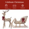 Best Choice Products XL Lighted Christmas 5ft Reindeer & Sleigh Holiday Outdoor Decor Set w/265 LED Lights - 3 of 4