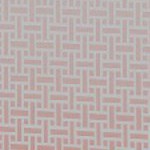 illinois fighting illini