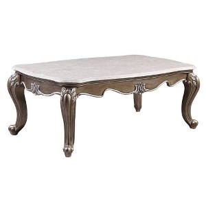 54" Elozzol Coffee Table: Queen Anne Legs, Shell Carved, No Assembly - Acme Furniture - 1 of 4