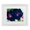 Trademark Fine Art -Georgia O'Keefe 'Black and Purple Petunias' Matted Framed Art - 2 of 3