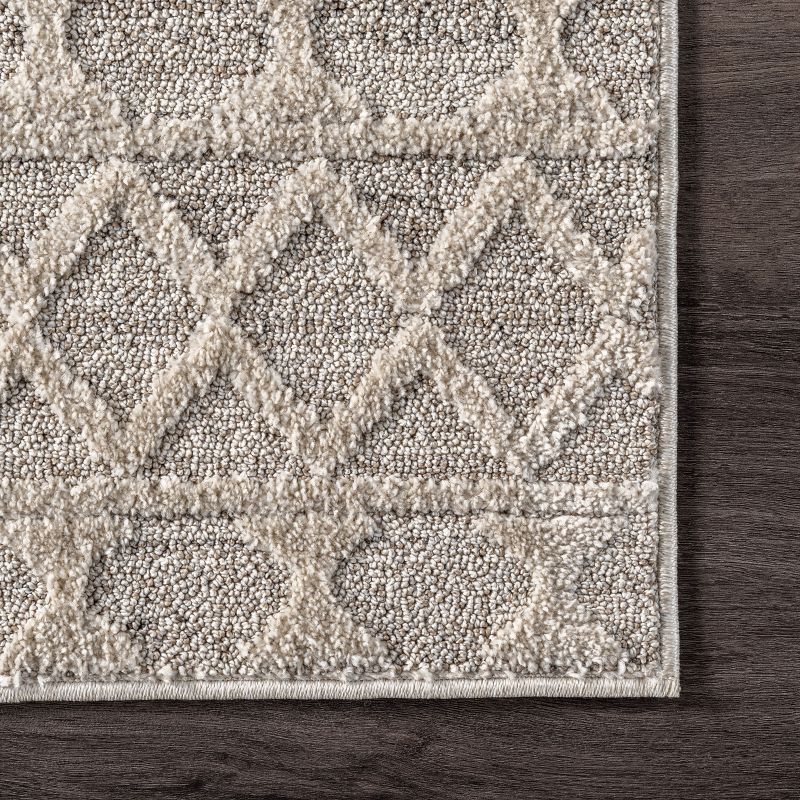 nuLOOM Cameron High Low Textured Moroccan Area Rug, 6 of 11