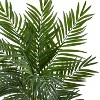 HomeStock  5 ft. Artificial Palm Tree in Planter for Indoor/Outdoor - 2 of 4