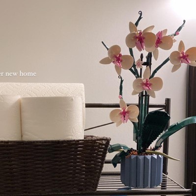 Guest review image 1 of 1, zoom in