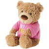 GUND Get Well Soon Teddy Bear Plush, 12.5” Stuffed Animal with Pink T-Shirt Message, Soft Huggable Comfort Gift for Kids, Adults & Friends - 2 of 4