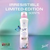 Secret Lovelier Antiperspirants and Deodorants - 4.1oz/12ct - 3 of 4