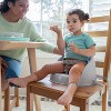 Ity by Ingenuity My Spot Easy-Clean Baby Booster Seat Feeding Chair - 3 of 4