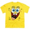 Boys' Short Sleeve Spongebob Spongebob Surprise Face T-Shirt - 2 of 4