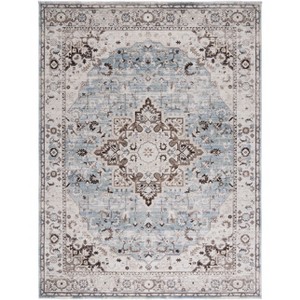 Antique Patina ANP644 Power Loomed Indoor Rugs - Safavieh - 1 of 4