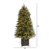Nearly Natural 5-ft Colorado Fir Flocked Dusted Artificial Christmas Tree with 300 LED Lights - 2 of 4