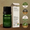 Gya Labs Organic Eucalyptus Essential Oil Eucalyptus Oil Natural Aromatherapy 0.34 Fl Oz - 4 of 4