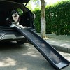 DOMETOUR Pet Ramp Climbing Ladder Portable Foldable Suitable for Off-road Vehicle Trucks Black - 2 of 4