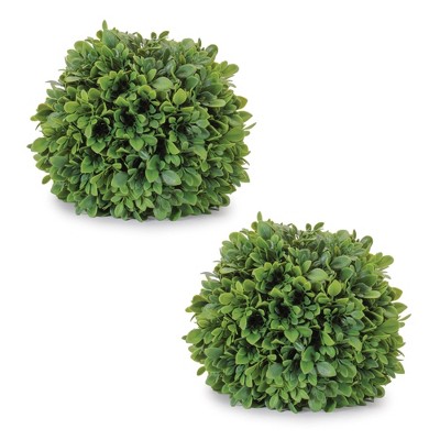 Boxwood Foliage Orb (Set of 2)