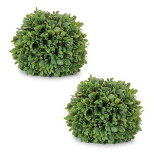 Boxwood Foliage Orb (Set of 2) - 1 of 4