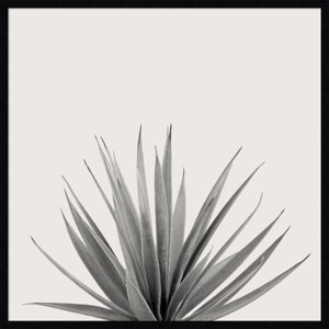 33" x 33" Haze Agave Succulent Framed Art by The Creative Bunch Studio - Amanti Art: Modern Botanical Decor - 1 of 4