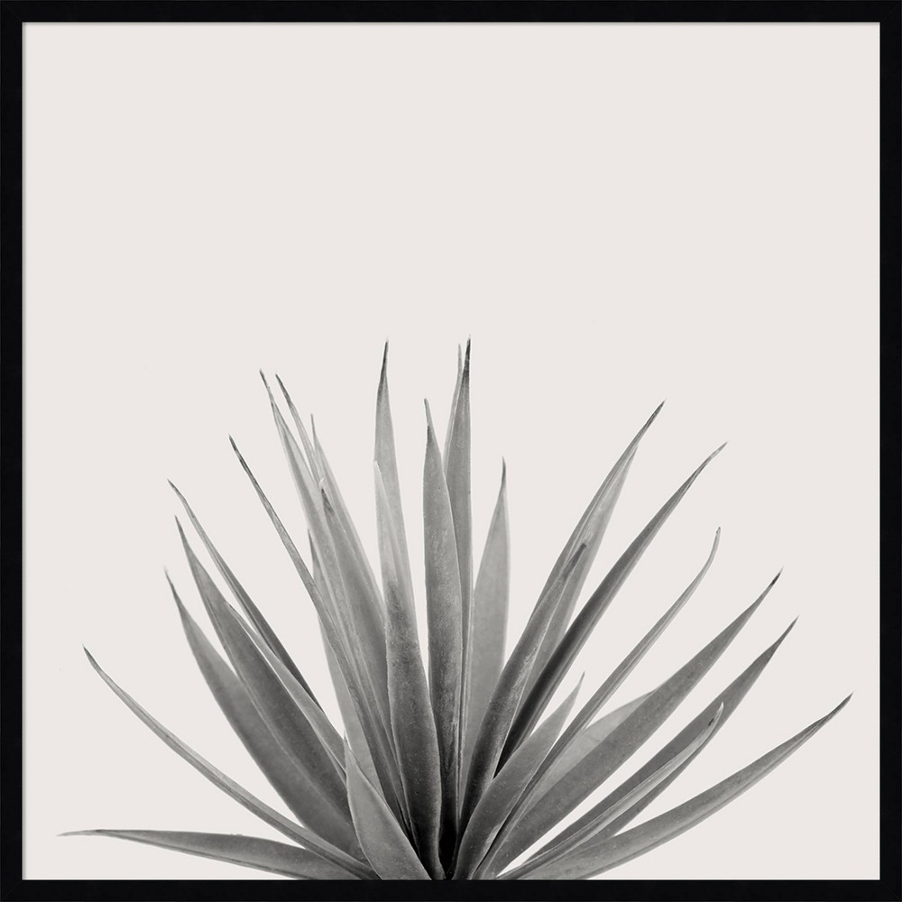 Photos - Other Decoration 33" x 33" Haze Agave Succulent Framed Art by The Creative Bunch Studio - A