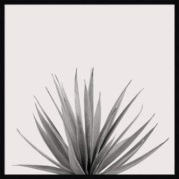 33" x 33" Haze Agave Succulent by The Creative Bunch Studio Framed Wall Art Print Black - Amanti Art
