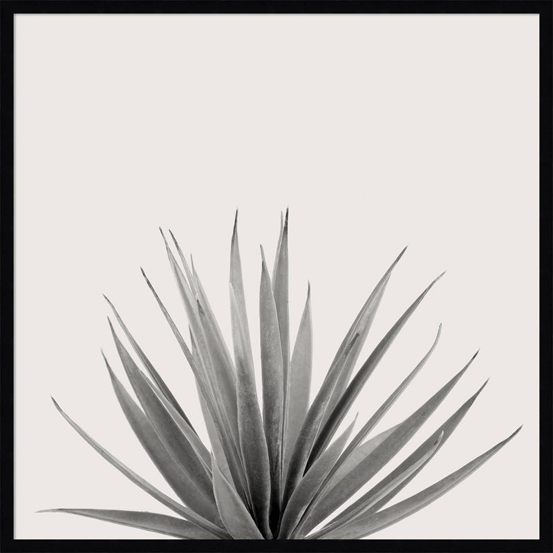 33&#34; x 33&#34; Haze Agave Succulent by The Creative Bunch Studio Framed Wall Art Print Black - Amanti Art, 1 of 13