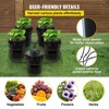 VEVOR DWC Hydroponic System, 5 Gallon 5 Buckets, Deep Water Culture Growing Bucket, Hydroponics Grow Kit with Pump, Black - 4 of 4