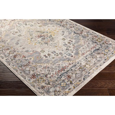 Newkirk Gray and Taupe Traditional 8' x 10' Area Rug