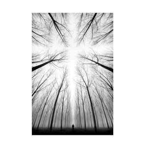 Marco Bizziocchi 'The Cross' Canvas Art - 1 of 4