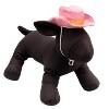 The Worthy Dog Cowboy Party Hat - 4 of 4