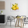 Stupell Industries Lemon Delights Fruit, 30" x 30" - 2 of 4