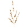 Metallic Eucalyptus Leaf Spray (Set of 2) - 3 of 3