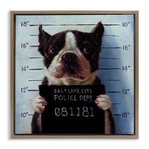 Stupell Industries Boston Terrier Jail Convicted Mugshot, 18" x 18" - 1 of 4