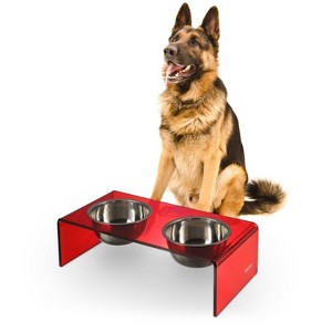 THE LICKER STORE Keaton Modern Acrylic Rectangular Elevated Pet Feeder - 1 of 4