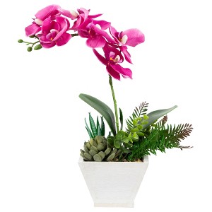 Northlight 12" Orchid with Succulent Artificial Potted Plant - Pink - 1 of 4