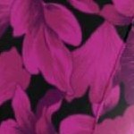 berry ginko leaves