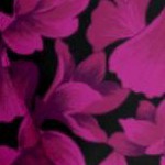 berry ginko leaves