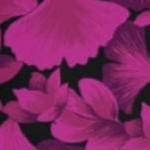 berry ginko leaves