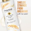 Pantene Nutrient Blends Rice Shampoo - 9.6 Fl Oz : Target