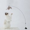 Unique Bargains Cat Teaser with Suction Cup and Bell Fluffy Plume Teasing Sticks Gray Brown - 4 of 4
