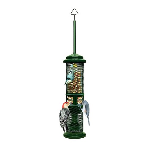 Squirrel Buster Nut Feeder Squirrel-proof Bird Feeder For Nuts (two 