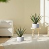 Spassway Indoor Outdoor Round Metal Planter Pot Planter Box Patio Garden Bed Black - 2 of 4