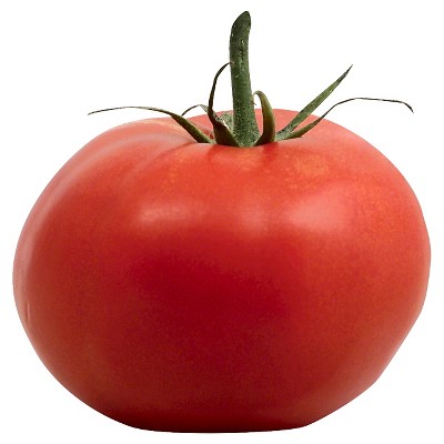 Globe Tomatoes - price per lb