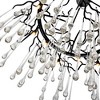 CWI Lighting,Anita 12 Light Chandelier With Black Finish - 4 of 4