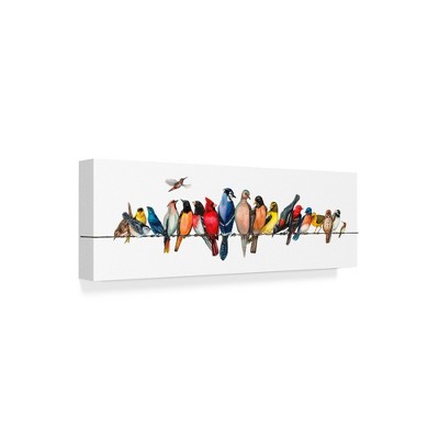 "Large Bird Menagerie Ii" Outdoor All-Weather Wall Decor