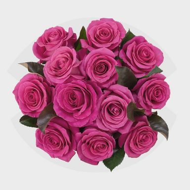 Mother's Day Roses Hot Pink - Good Little Garden™