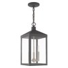 Livex Lighting Nyack 3 - Light Pendant in  Scandinavian Gray - image 2 of 4