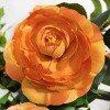 SEVOBAL Artificial Plants 36" Camellia Tree Set with Vibrant Orange Flowers and Lush Greenery for Indoor Outdoor Decor, Orange, 33.49"*6.7"*7.09" - 2 of 4