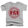 Toddler Boys' Harry Potter Gryffindor House Badge T-Shirt - 2 of 4