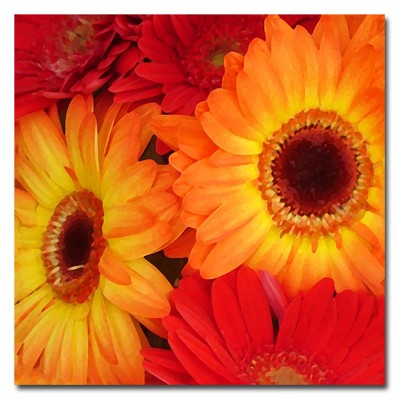 Trademark Fine Art -Amy Vangsgard 'Orange and Red Gerbers' Canvas Art