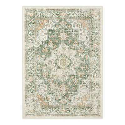 Lahome  Large Floral Border Contrast Short Pile Velvet Rectangular Indoor Area Rug