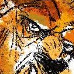 clear push pins bundle